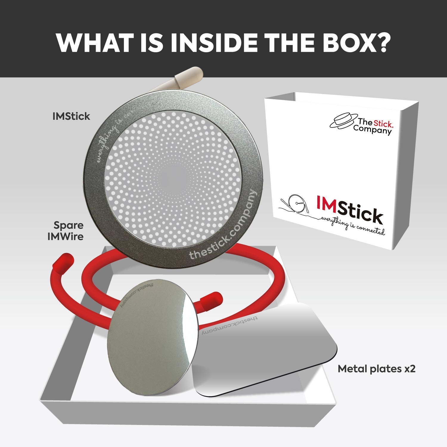IMStick Pro