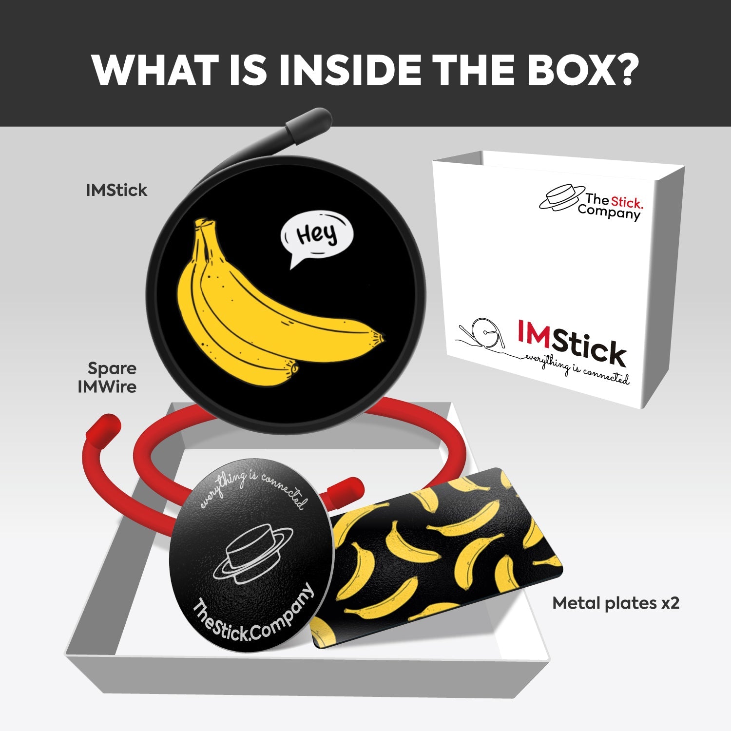 IMStick Special Edition